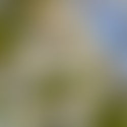 Yoga Nidra - 10 minuten Reset