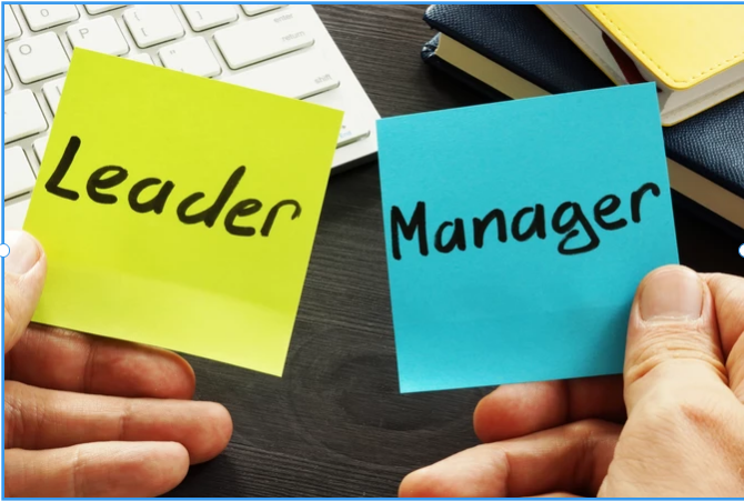Management