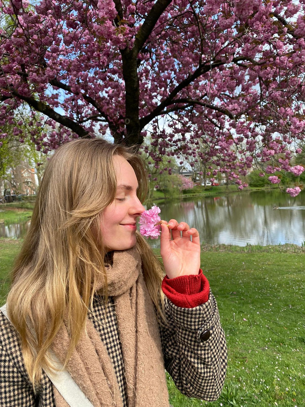 Zonsondergang boven zee met roze en paarse lucht. Voorgrond toont huizen en groene struiken. Rustige en serene sfeer.