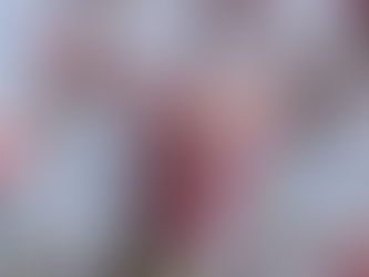 Lente Yoga Nidra - Hout Element