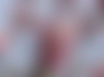 Lente Yoga Nidra - Hout Element