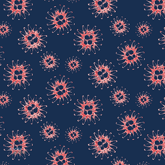 Blue-flowers.png