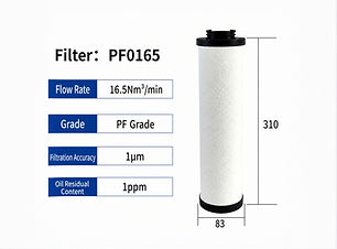 PF0165_edited.jpg