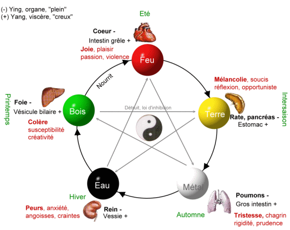 8tx8y-Cycle_des_5_elements.gif