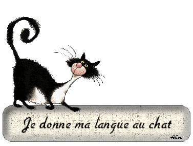 15-donner_sa_langue_au_chat-3e966.gif