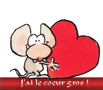 coeur gros.gif