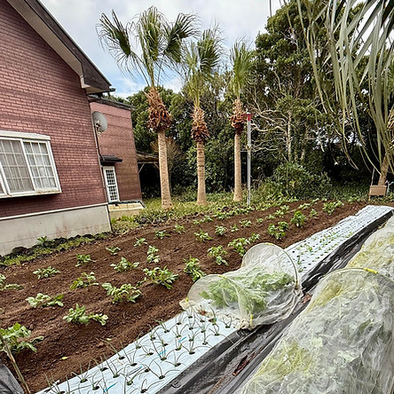 Garden1.jpg