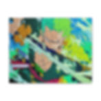 Thumbnail: Zoro printed canvas