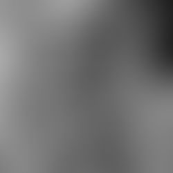 IT| Retentie| Talentmanagement