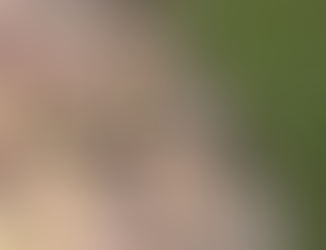 How to Prevent Weeds and Ants in Orlando Pavers (Complete Guide)