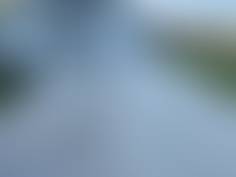 Paver Driveway vs Concrete Driveway: Which Is Better for Orlando Homes?