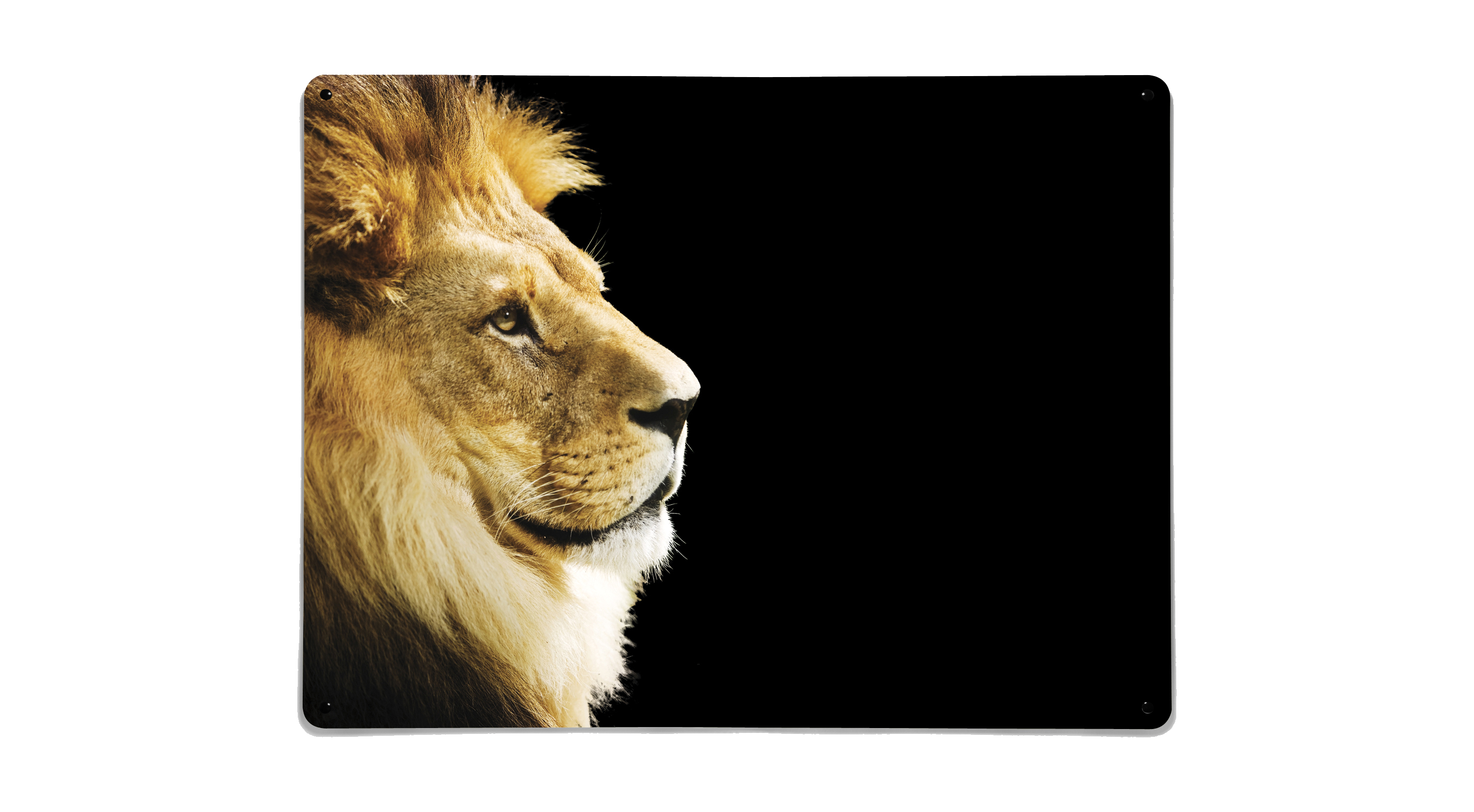 Wall Art Panels Design Collections Beyond the Fridge