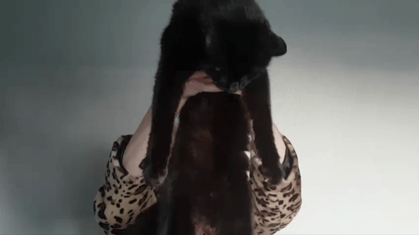 Hnet.com-image (1).gif