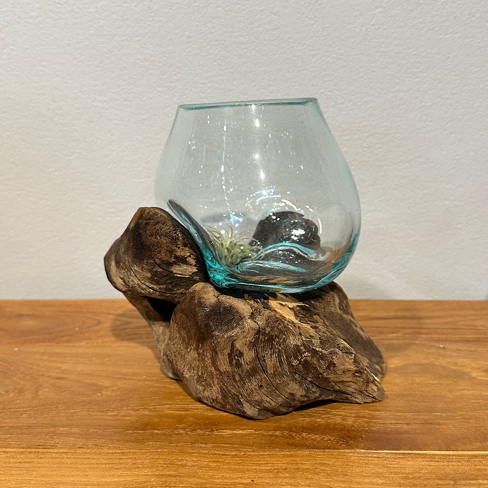 サムネイル： バリ島流木ガラス　w16×d16×h15cm 水槽　アクアリウムメダカ水槽102