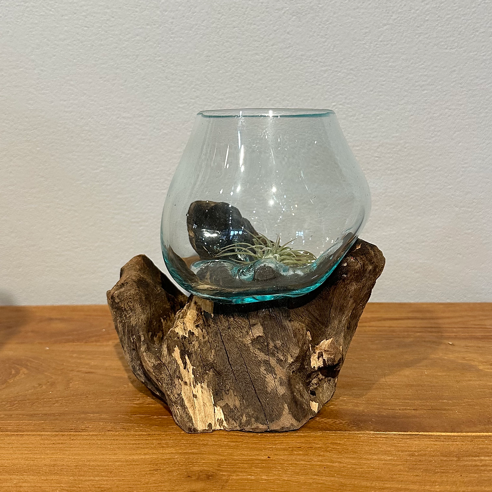 サムネイル： バリ島流木ガラス　w16×d16×h15cm 水槽　アクアリウムメダカ水槽102