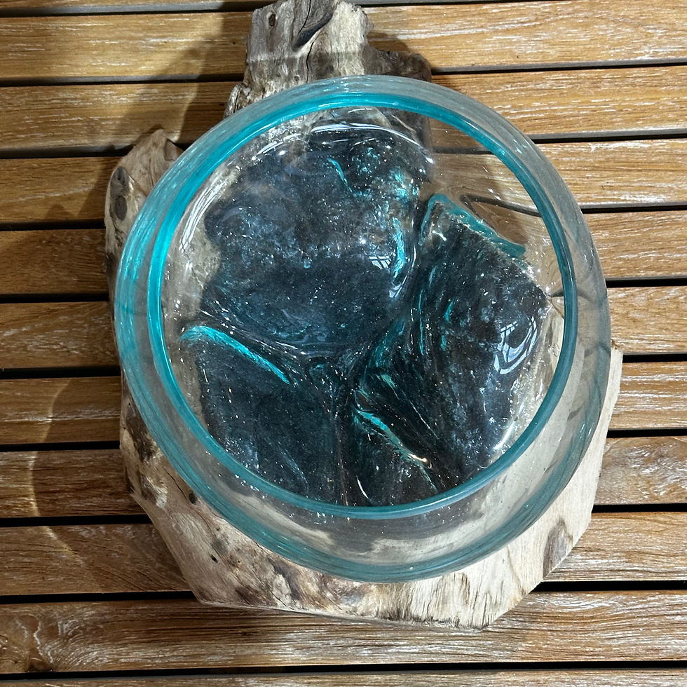 サムネイル： 【送料込】バリ島流木ガラス　ガラスΦ20cm前後 苔リウム254Dアクアリウム