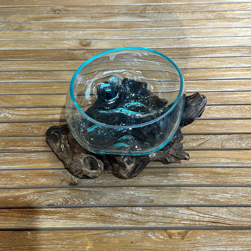 【送料込】バリ島流木ガラス　ガラスΦ20cm前後 苔リウム203Cアクアリウム 送料込】バリ島流木ガラス ガラスΦ20cm前後 苔リウム202Bアクアリウム