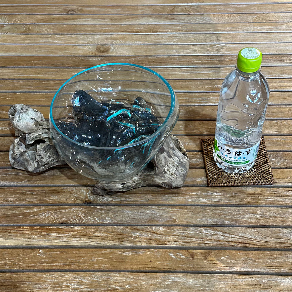 サムネイル： 【送料込】バリ島流木ガラス　ガラスΦ20cm前後 苔リウム201A アクアリウム