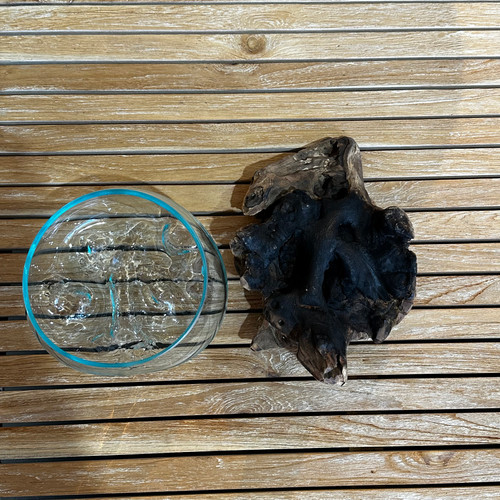 送料込】バリ島流木ガラス ガラスΦ20cm前後 苔リウム202Bアクアリウム