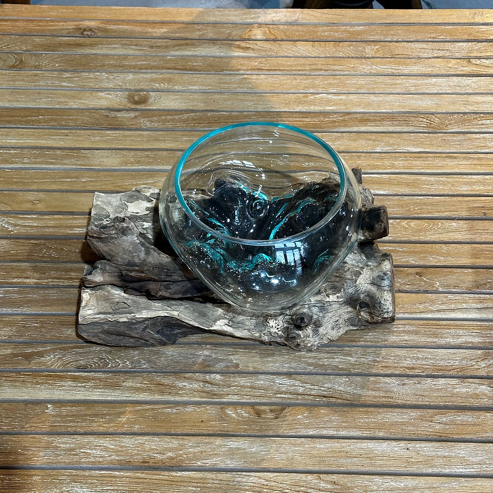 サムネイル： 【送料込】バリ島流木ガラス　ガラスΦ21cm前後 苔リウム253C アクアリウム