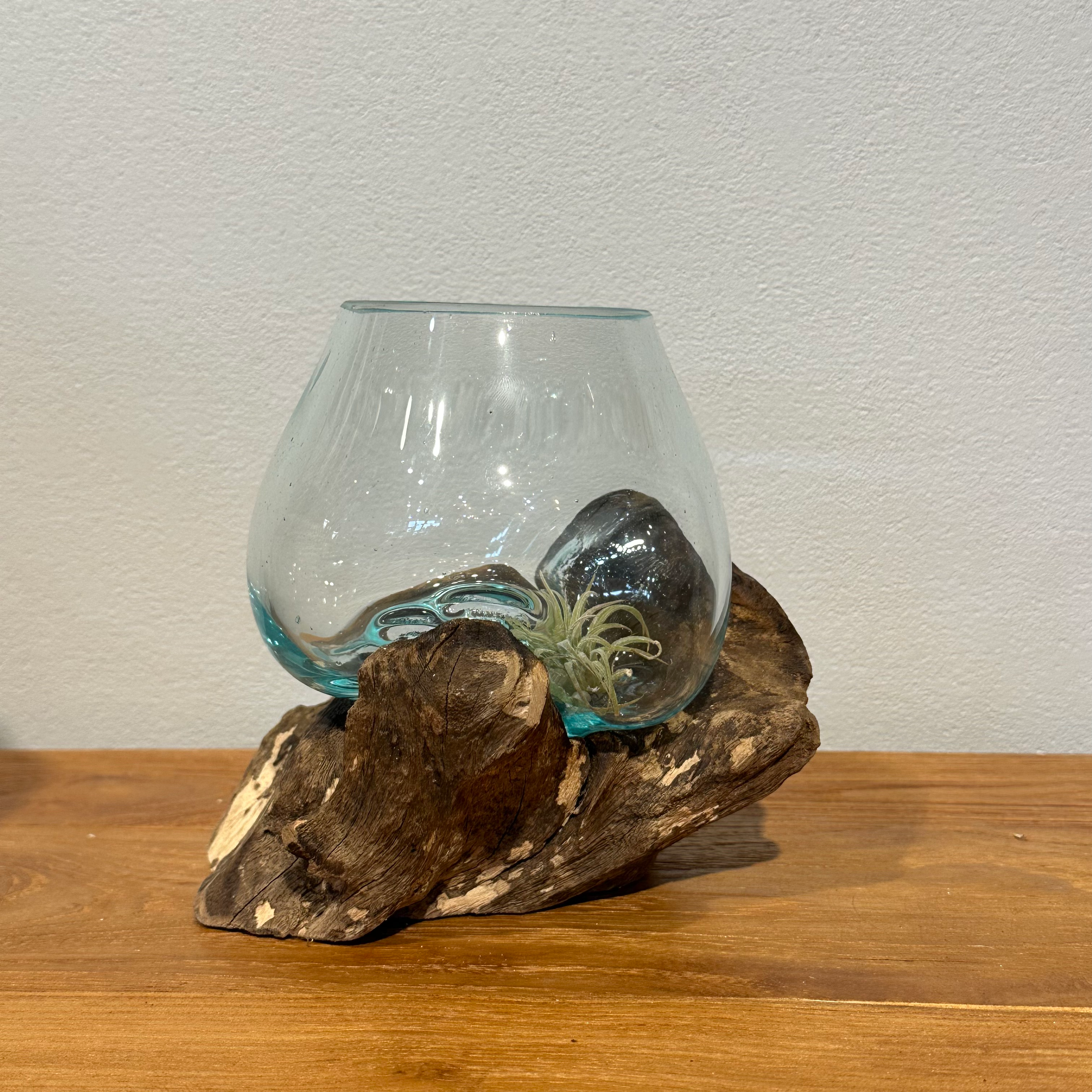 バリ島流木ガラス w16×d16×h15cm 水槽 アクアリウムメダカ水槽102