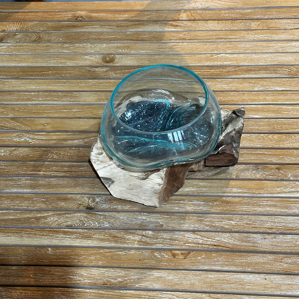 サムネイル： 【送料込】バリ島流木ガラス　ガラスΦ20cm前後 苔リウム254Dアクアリウム