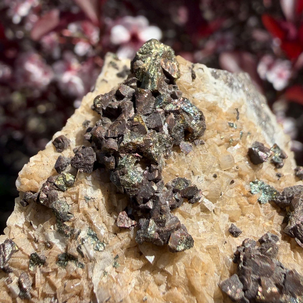 Thumbnail: Marcasite on Calcite Crystal, Natural Mineral Specimen from Marmora Iron Mine