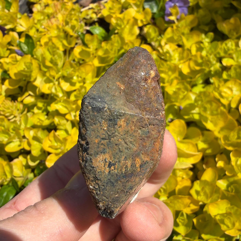 Thumbnail: Fluoro-Richterite Crystal, Iridescent Canadian Mineral Specimen, 105g