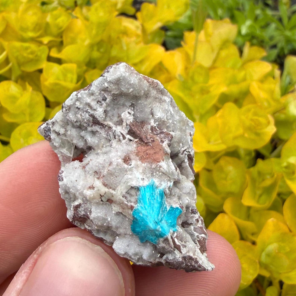 Thumbnail: Cavansite Crystal on Stilbite, Raw Cavansite Geode from Pune, India, 15g