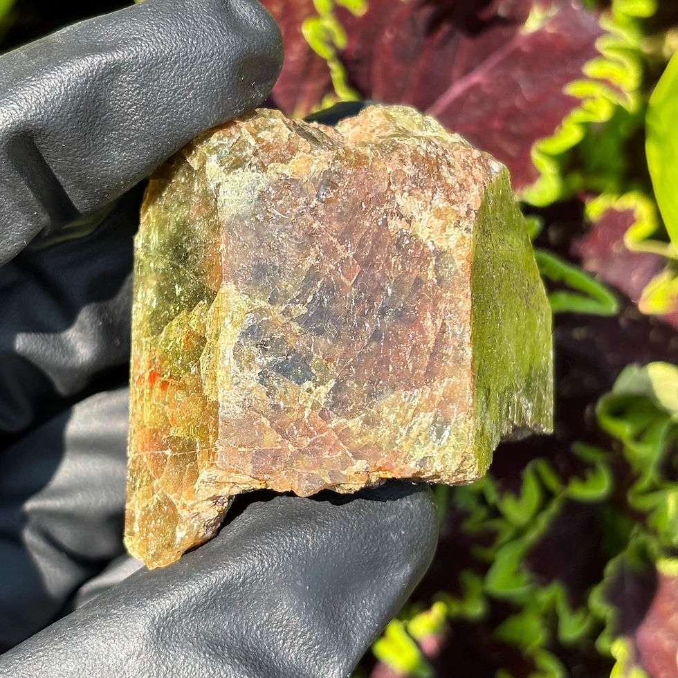 Thumbnail: Bi-Coloured Apatite Crystal from Bear Lake Diggings, Ontario, Canada, 134g