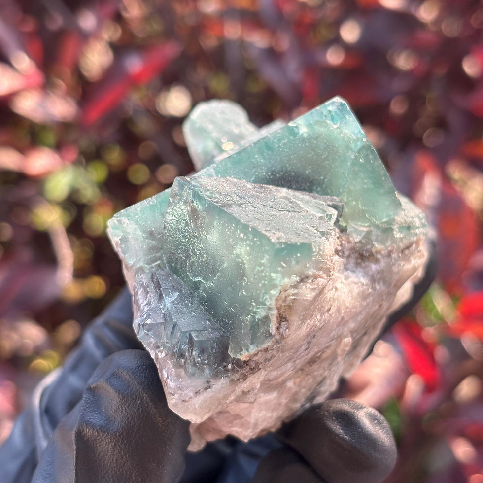 Thumbnail: UV Reactive Fluorite Crystal from The Rogerley Mine, 343g