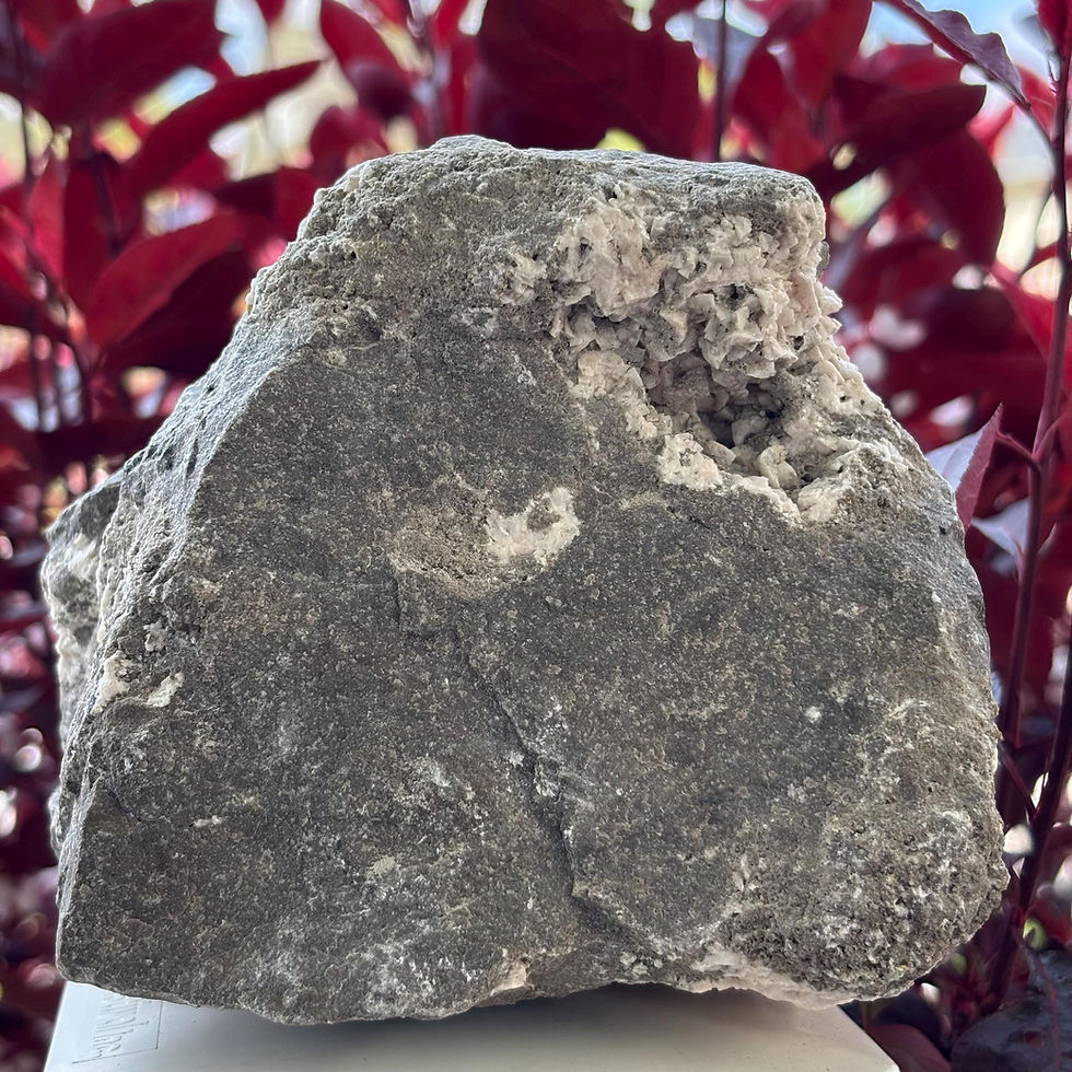 Thumbnail: Dolomite Crystal Cluster on Matrix | Ontario Gypsum Mineral Specimen | 1300g
