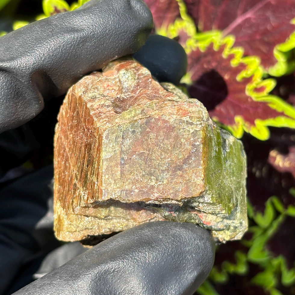 Thumbnail: Bi-Coloured Apatite Crystal from Bear Lake Diggings, Ontario, Canada, 134g