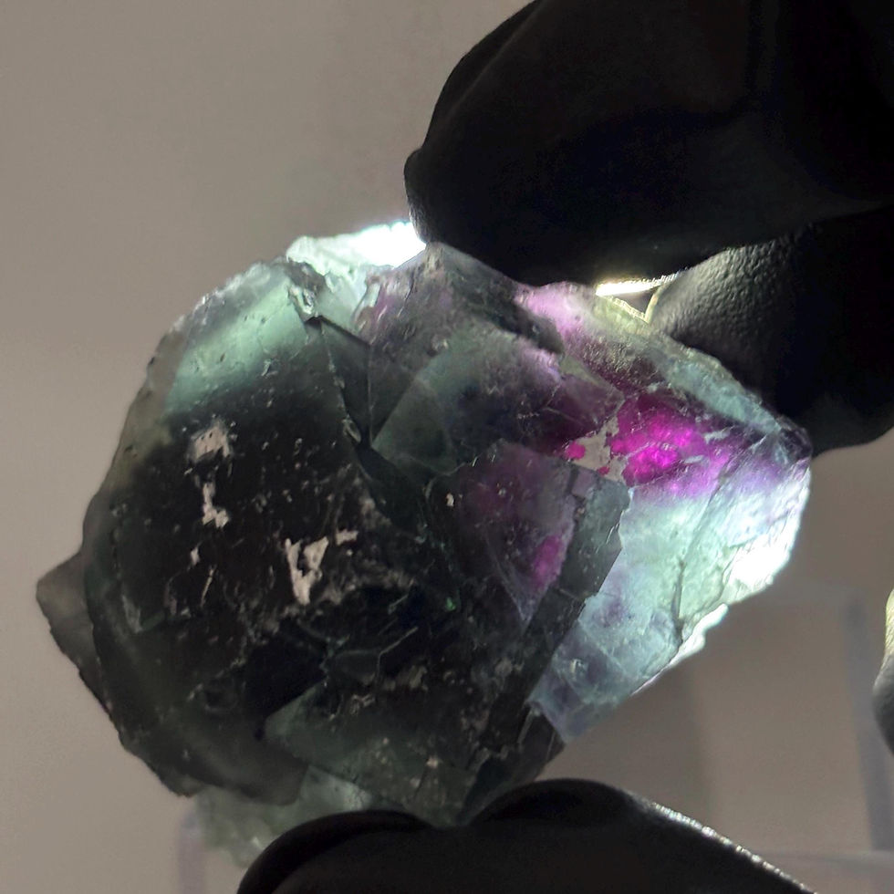 Thumbnail: Blue Phantom Fluorite Crystal, Natural Purple Fluorite Specimen from Okorusu