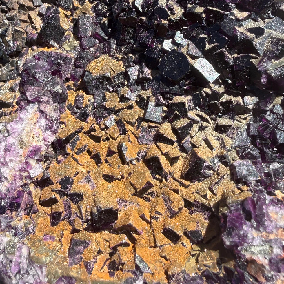 Thumbnail: Purple Fluorite Cluster, Highway 17, Ontario Fluorite Crystal, 1000g