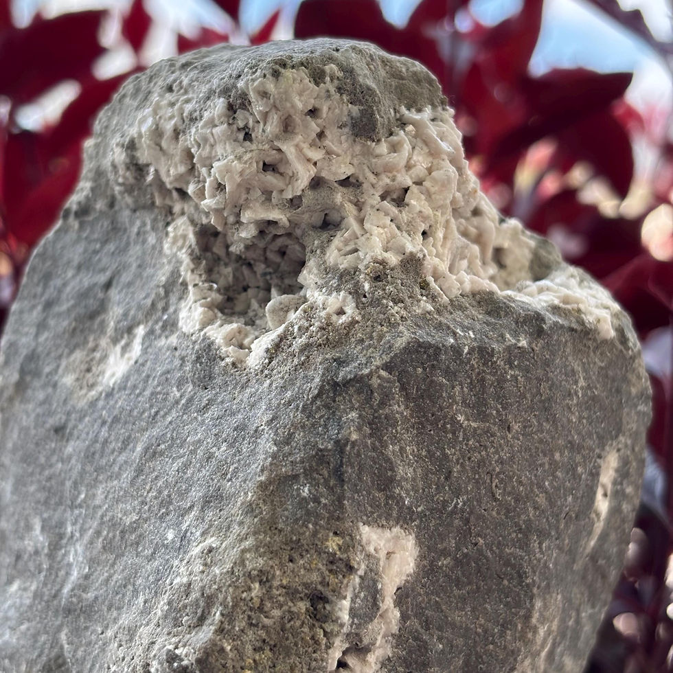 Thumbnail: Dolomite Crystal Cluster on Matrix | Ontario Gypsum Mineral Specimen | 1300g
