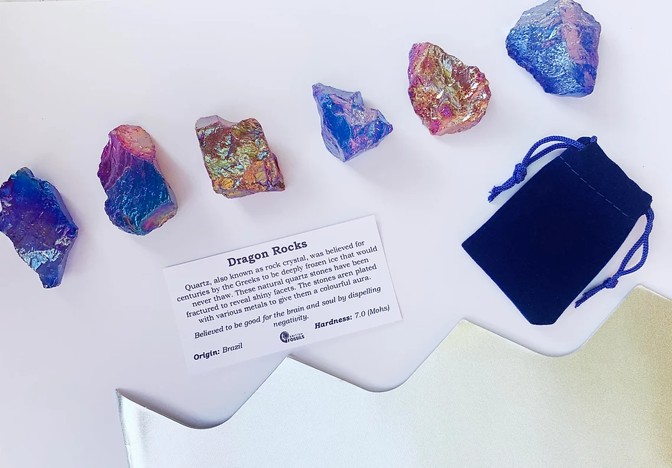 Thumbnail: 6 Dragon Rock Crystal Crackers - British Fossils