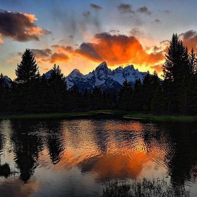 11241399_844184202342306_1302594160_n