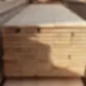 timber.webp