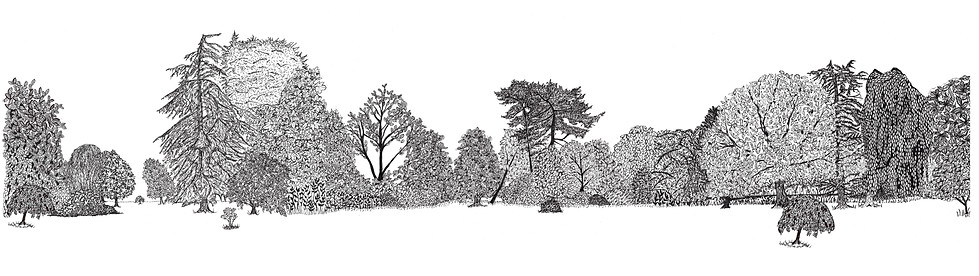 Arboretum
