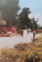 The return to Mount Scopus