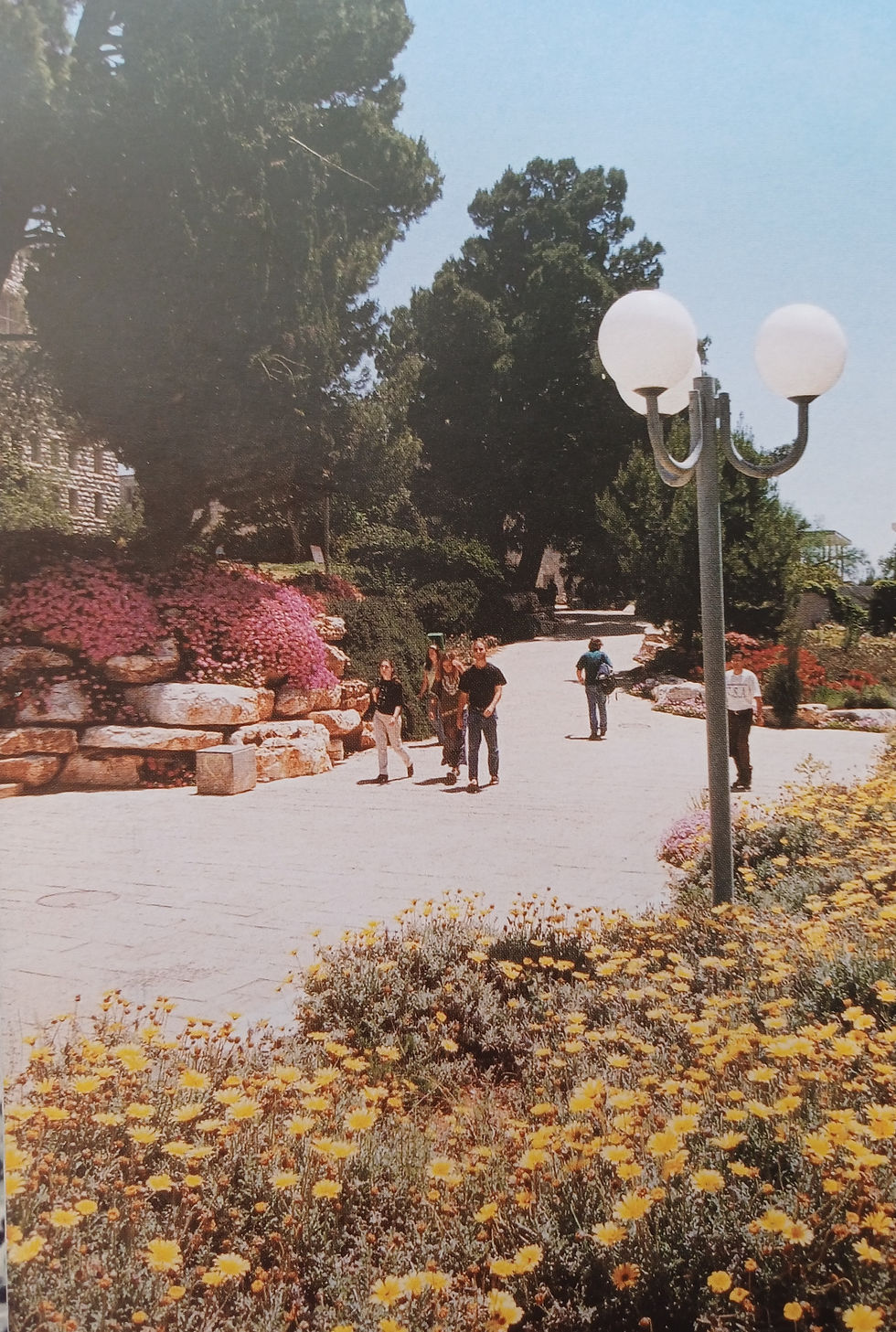 The return to Mount Scopus