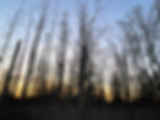 IMG_5046.jpeg