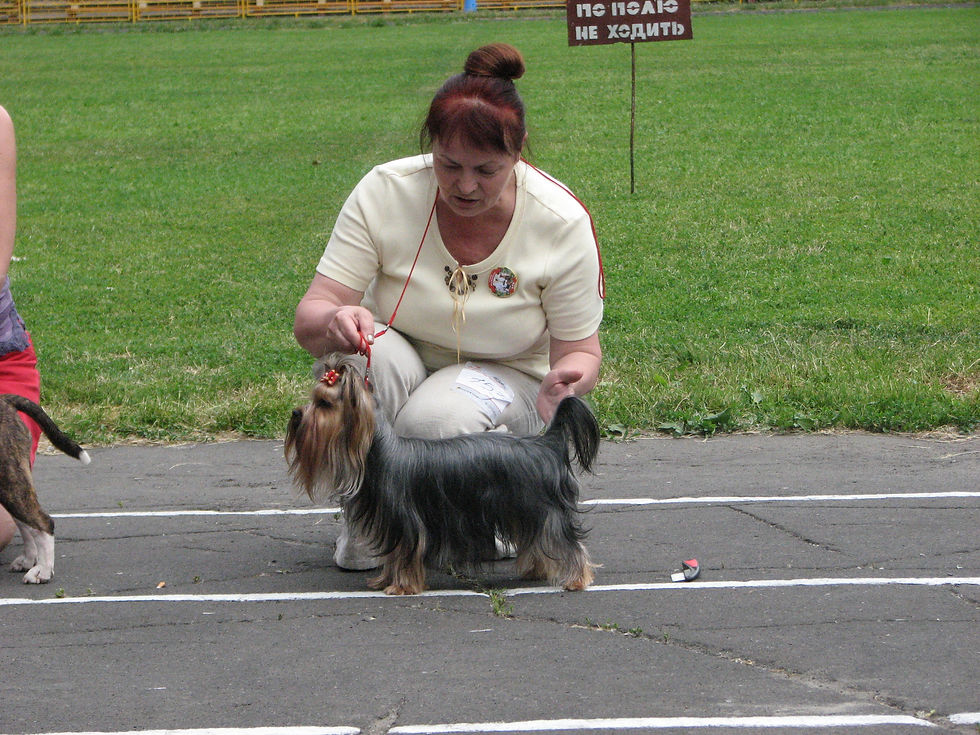 IMG_1527.JPG