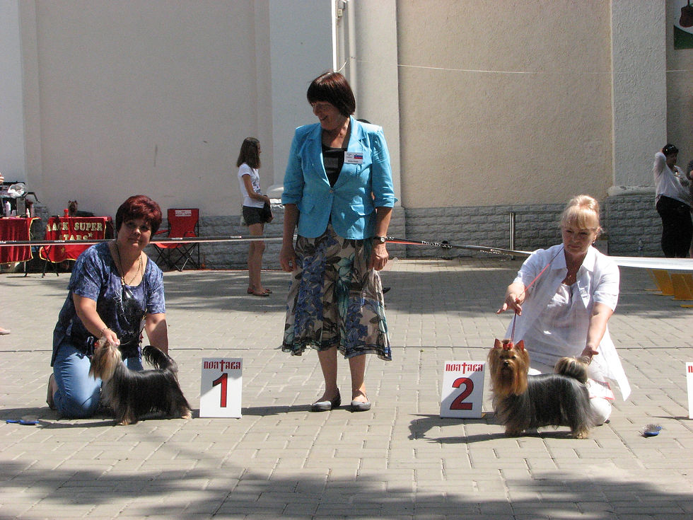 IMG_6877.JPG