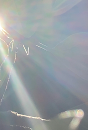 sample image.png