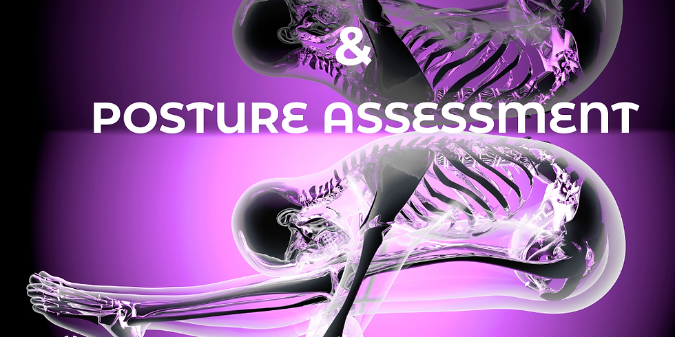 Biomechanics & Posture Assessment