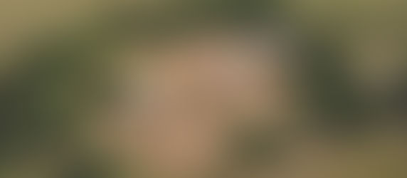 Unlock Your Rural Dream: 10 Game-Changing Secrets to Mastering Land Development in 2024