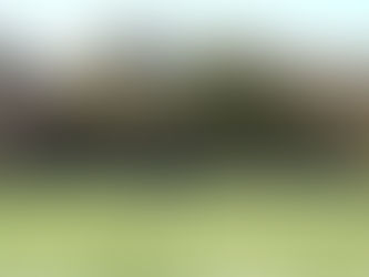 Coming Soon to A Drive-In Near You