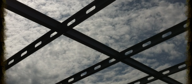 Fly day and the Swedish national day in Finland and NYC